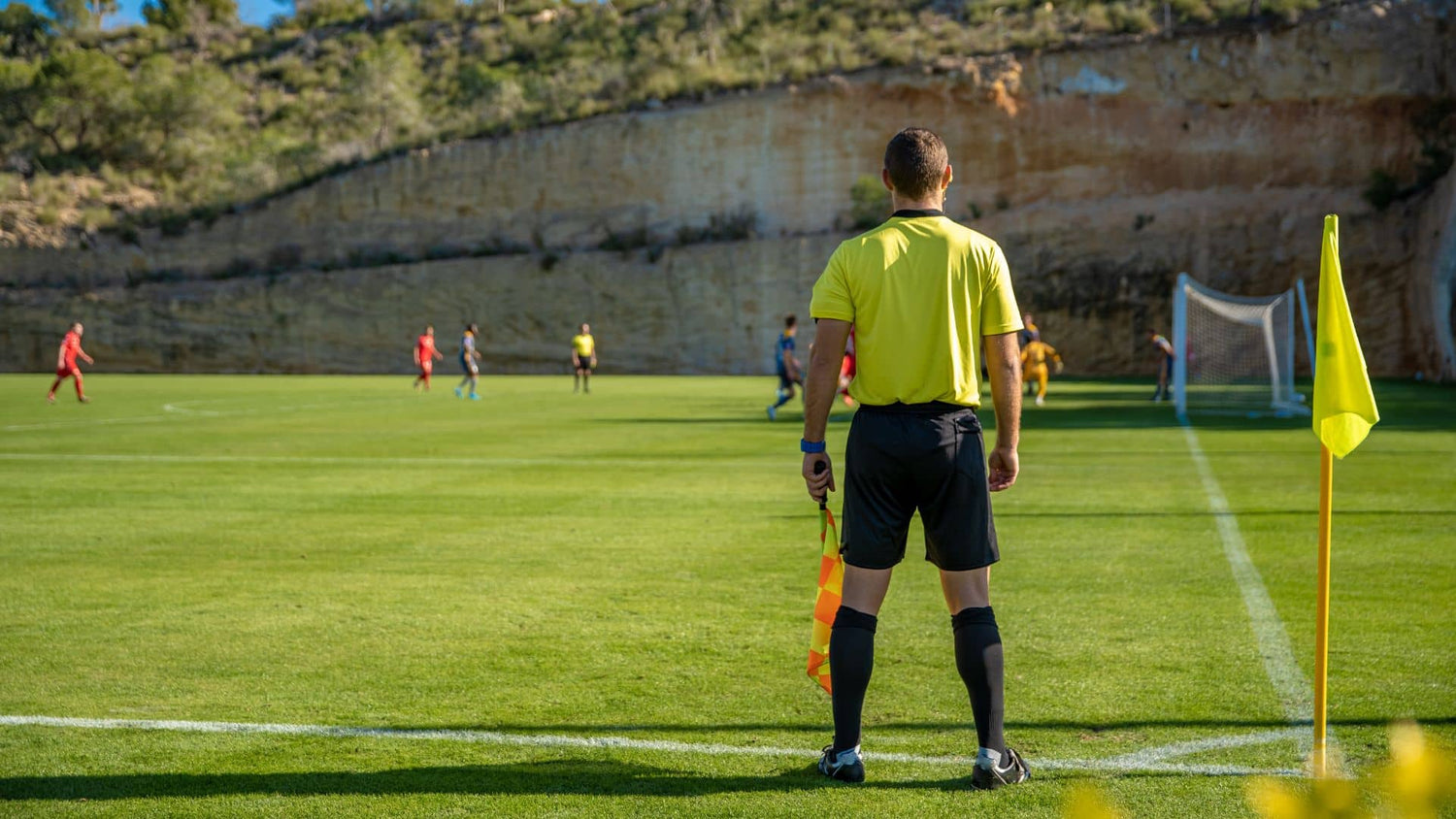 Referee