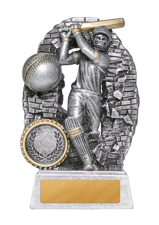 Breaking Down Barriers-Batter Male