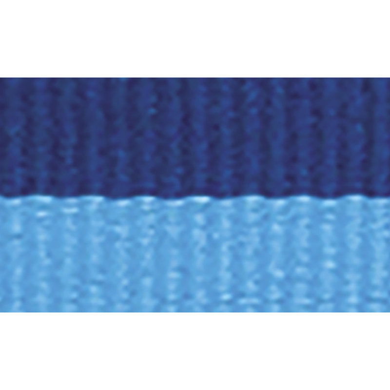 Blue / Light Blue Ribbon
