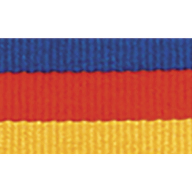 Blue / Red / Gold Ribbon