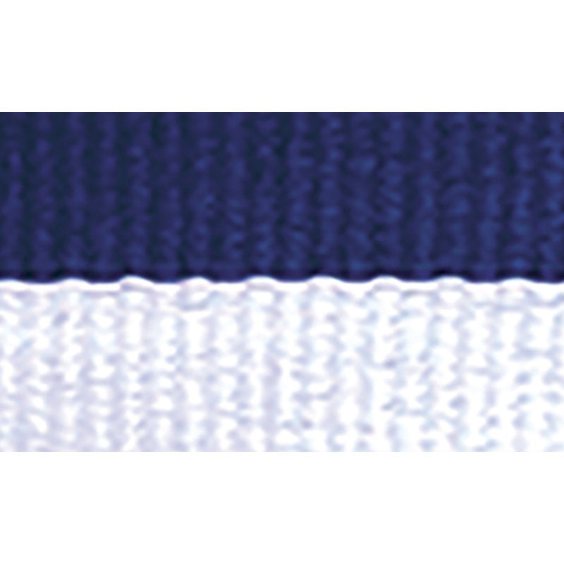 Blue / White Ribbon