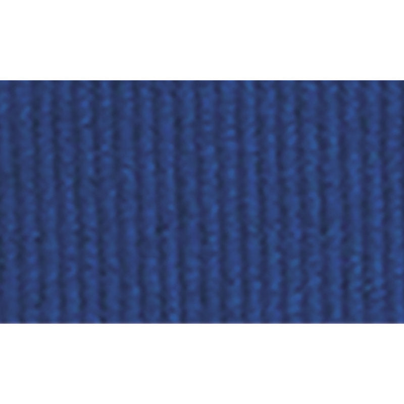 Blue Ribbon