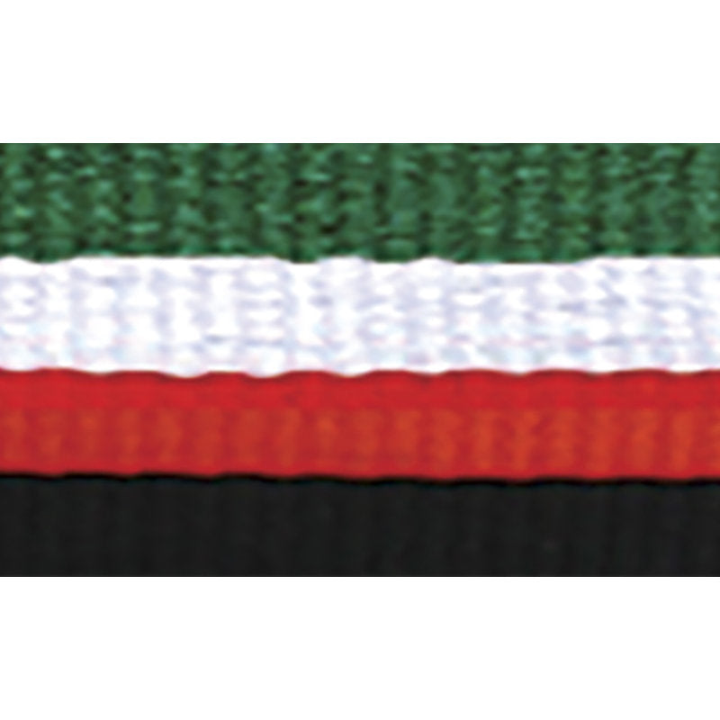 Green / White / Red / Black Ribbon