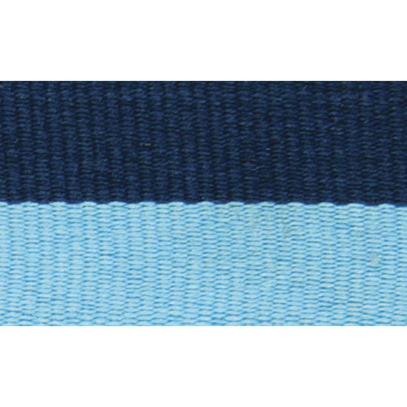 Blue / Light Blue Ribbon