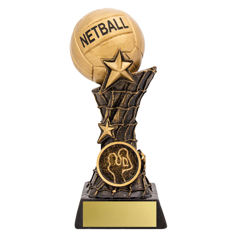 Netball Raised Ball