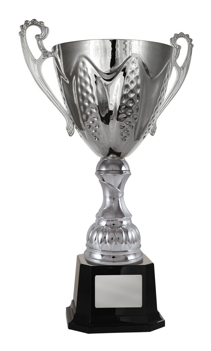 Bordeaux Cup