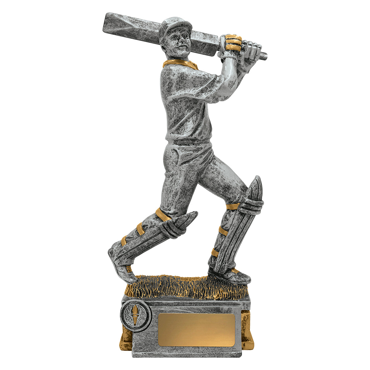 Cricket Batsman