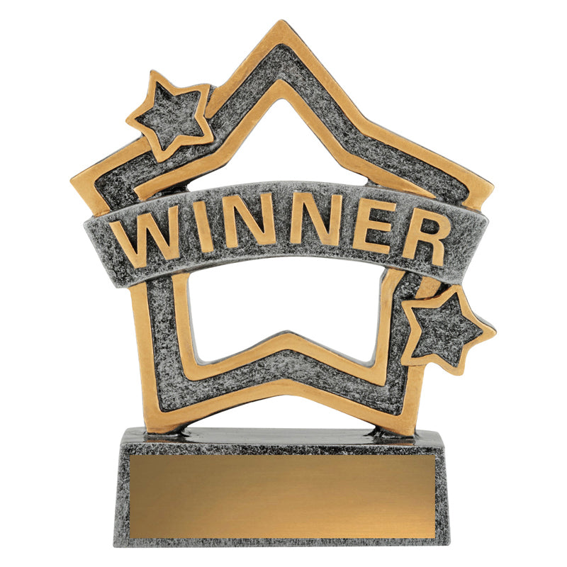 Rally Mini Star - Winner