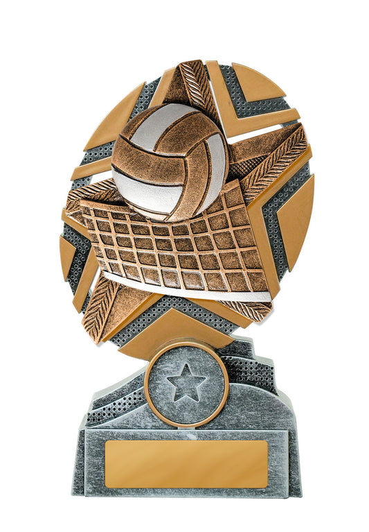 Starburst Stand Volleyball