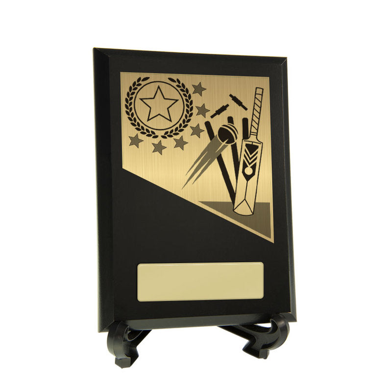 Cricket Theme on Plaque