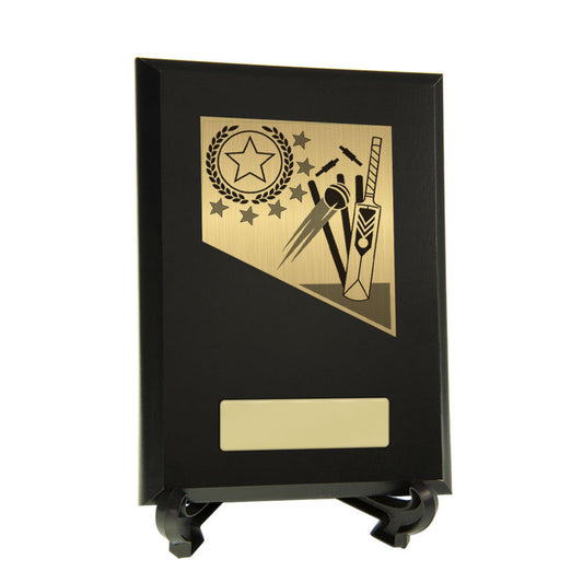 Cricket Theme on Plaque