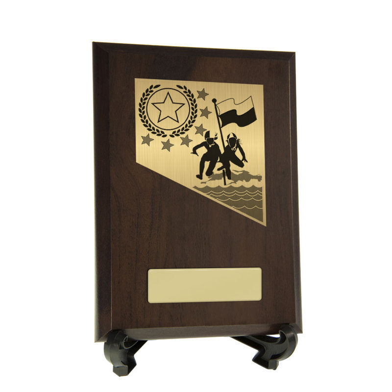 Plaque with Lifesaving Trim