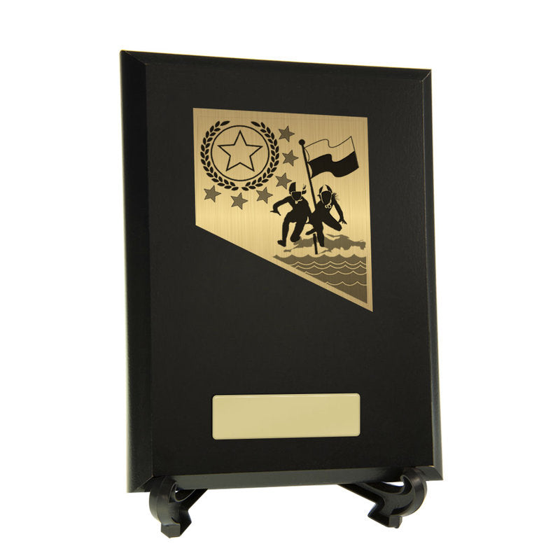 Plaque with Lifesaving Trim