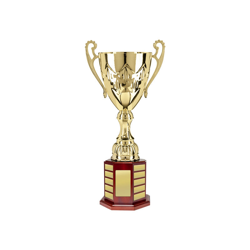 Cup on Perpetual Base