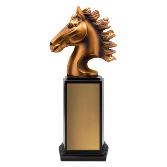 Horse Zenith Award
