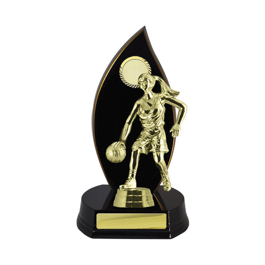 Timber Buildup Basketball