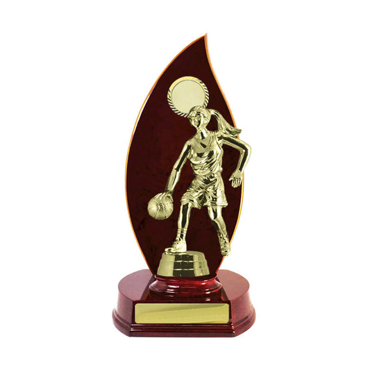 Timber Buildup Basketball