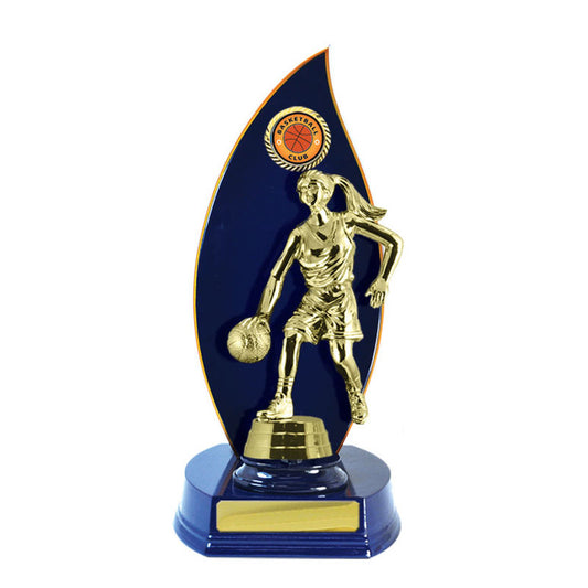 Timber Buildup Basketball