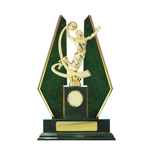 Timber Buildup Basketball