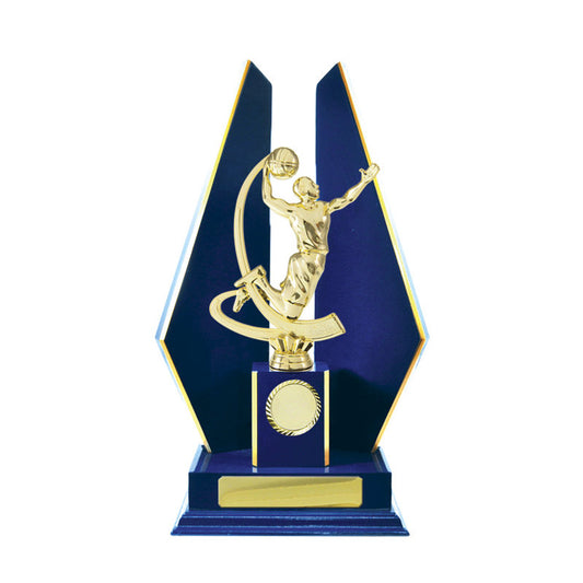 Timber Buildup Basketball