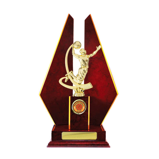 Timber Buildup Basketball