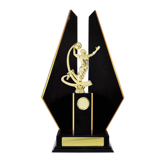 Timber Buildup Basketball