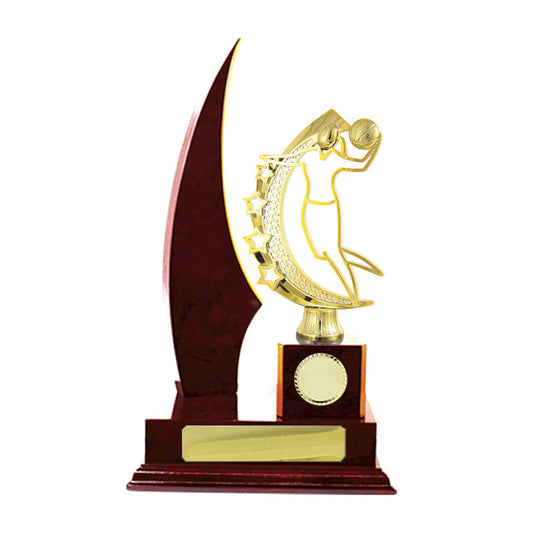 Timber Buildup Basketball