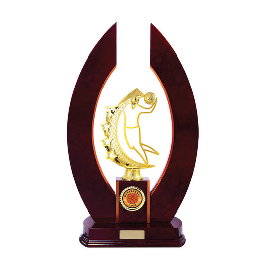 Timber Buildup Basketball