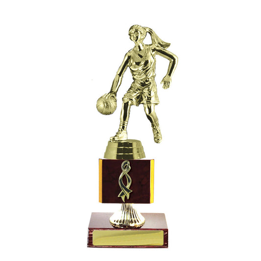 Timber Buildup Basketball