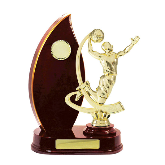 Timber Buildup Basketball