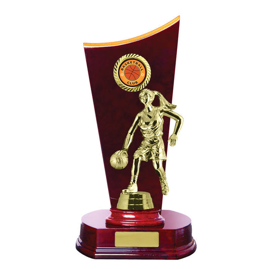 Timber Buildup Basketball