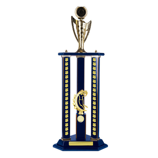 Timber Buildup Basketball