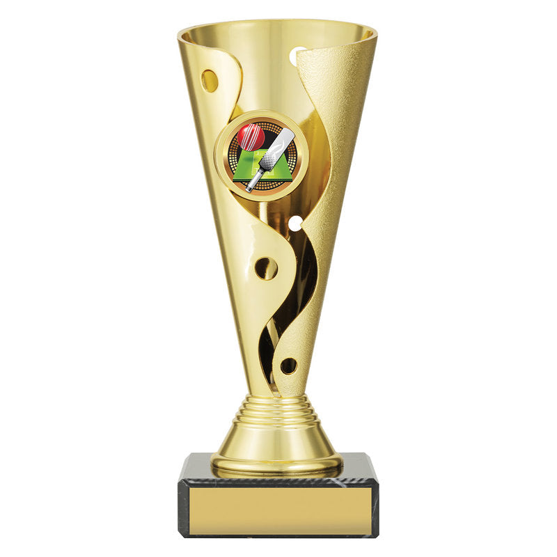 Carnival Cup - Cricket