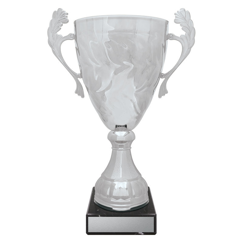Silver Eternal Cups