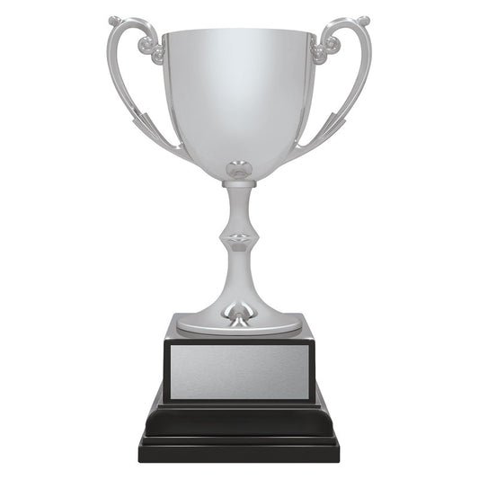 Ace Recognition Silver