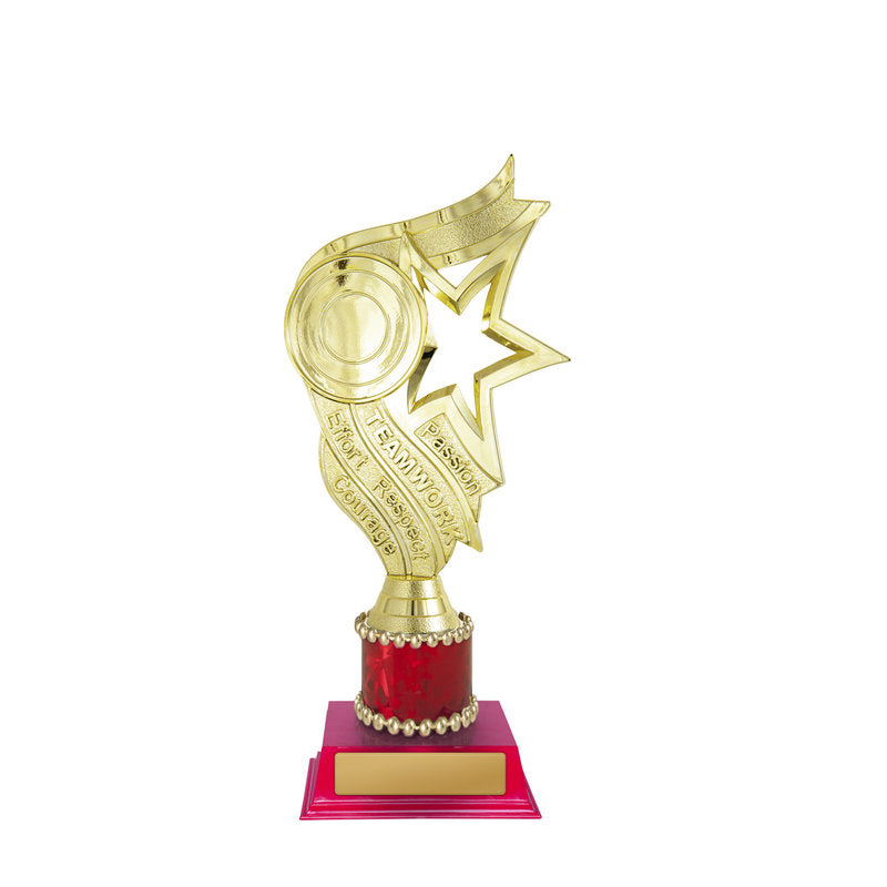 Star Holder
