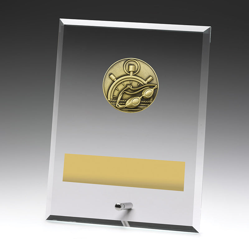 Glass Plaques - Swim