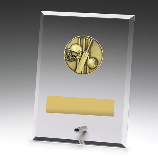Glass Plaques - Cricket