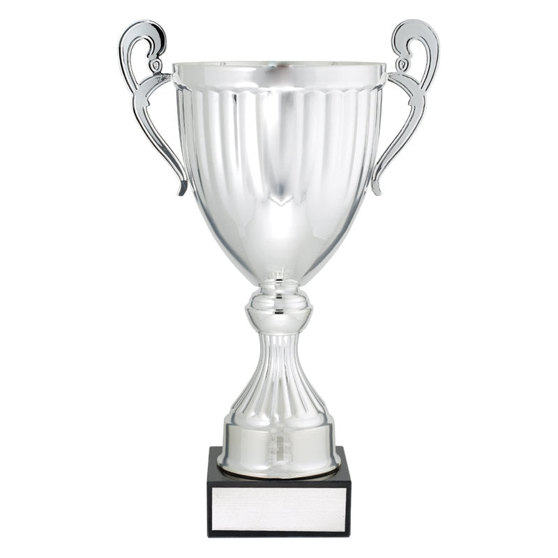 Endeavour - Silver
