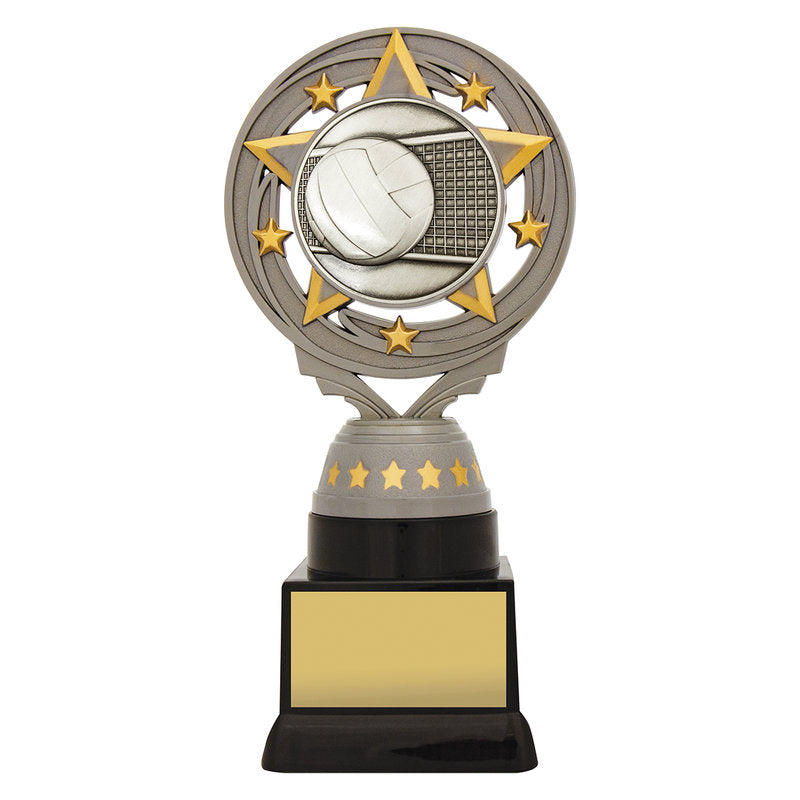 Silver Volleyball Torch