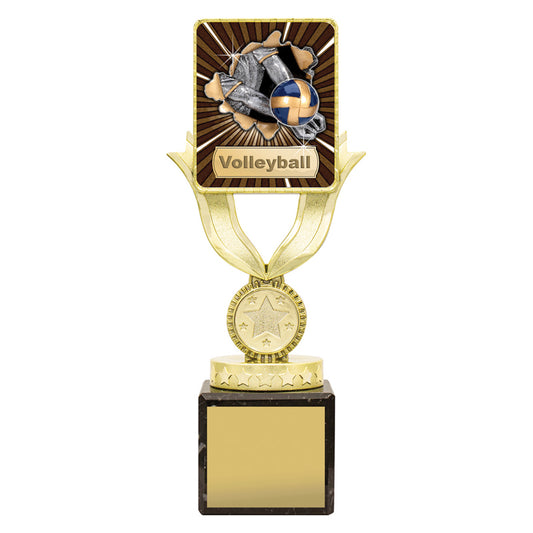 Lynx Sentry - Volleyball