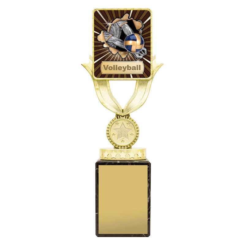 Lynx Sentry - Volleyball