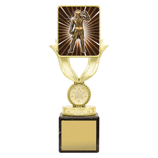 Lynx Sentry - Boxing