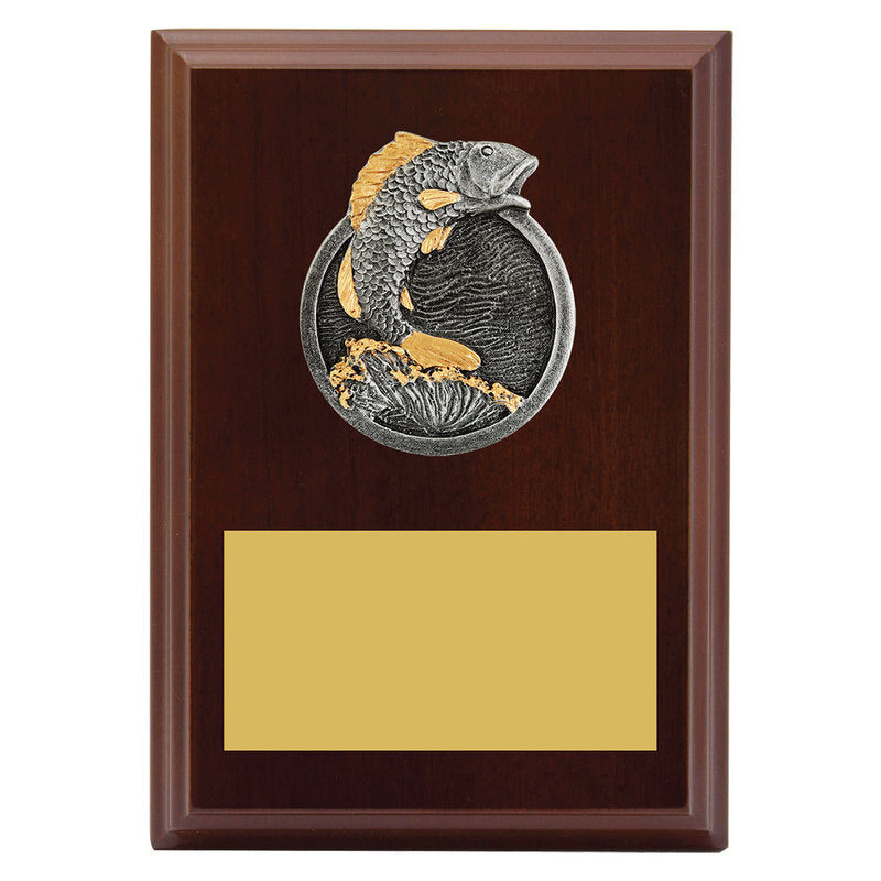 Peak Plaque Fishing