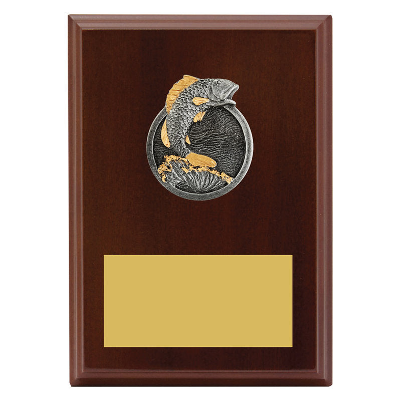 Peak Plaque Fishing