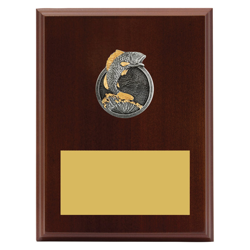 Peak Plaque Fishing