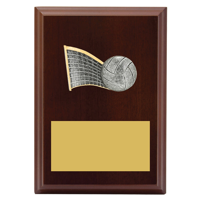 Peak Plaque Volleyball