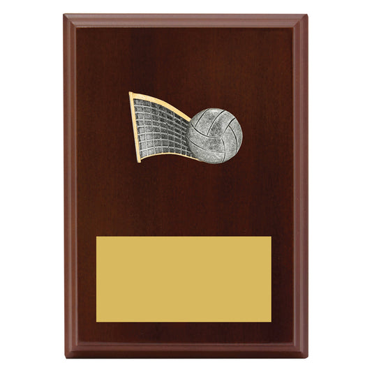 Peak Plaque Volleyball