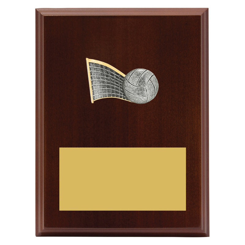 Peak Plaque Volleyball