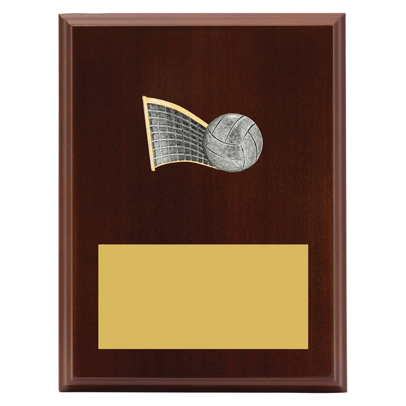 Peak Plaque Volleyball